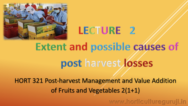 Extent and Possible Causes of Post Harvest Losses PPT